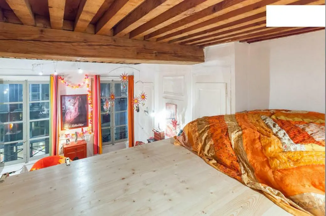 Séjour chez l'habitant Appartement Salon et mezzanine Lyon centre France
